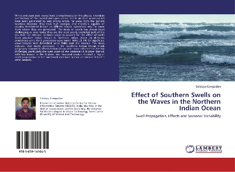 Effect of Southern Swells on the Waves in the Northern Indian Ocean: Swell Propagation, Effects and Seasonal Variability