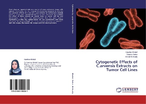 Cytogenetic Effects of C.arvensis Extracts on Tumor Cell Lines