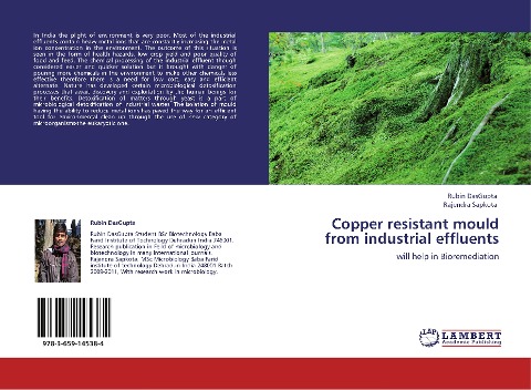 Copper resistant mould from industrial effluents: will help in Bioremediation
