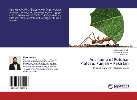 Ant fauna of Potohar Plateau, Punjab - Pakistan: Oriental fauna with Palearctic traces
