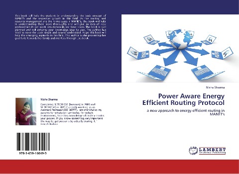 Power Aware Energy Efficient Routing Protocol: a new approach to energy efficient routing in MANETs