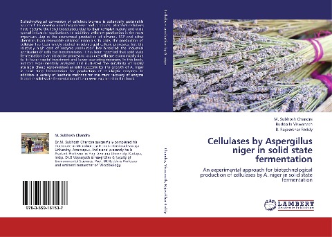 Cellulases by Aspergillus niger in solid state fermentation: An experimental approach for biotechnological production of cellulases by A. niger in solid state fermentation