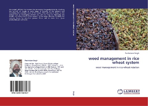 weed management in rice wheat system: weed management in rice-wheat rotation