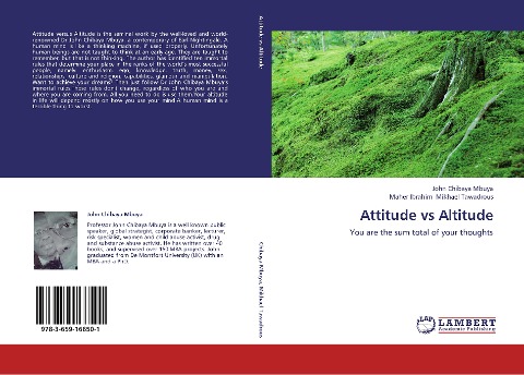 Attitude vs Altitude: You are the sum total of your thoughts