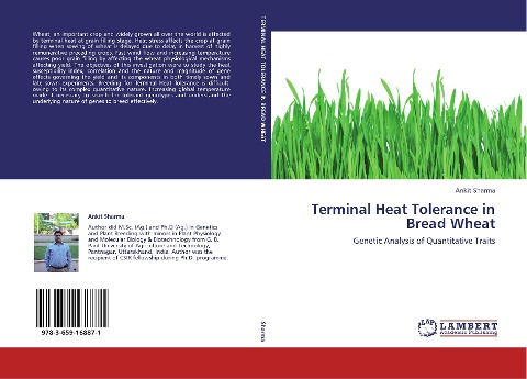 Terminal Heat Tolerance in Bread Wheat: Genetic Analysis of Quantitative Traits