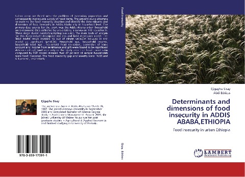 Determinants and dimensions of food insecurity in ADDIS ABABA,ETHIOPIA: Food insecurity in urban Ethiopia