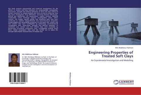 Engineering Properties of Treated Soft Clays: An Experimental Investigation and Modelling
