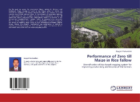 Performance of Zero till Maize in Rice fallow: Diversification of rice based cropping system for improving productivity and income of the farmers