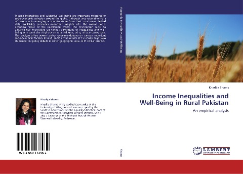 Income Inequalities and Well-Being in Rural Pakistan: An empirical analysis