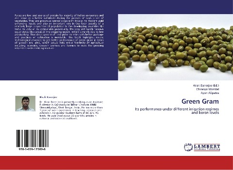 Green Gram: Its performance under different irrigation regimes and boron levels