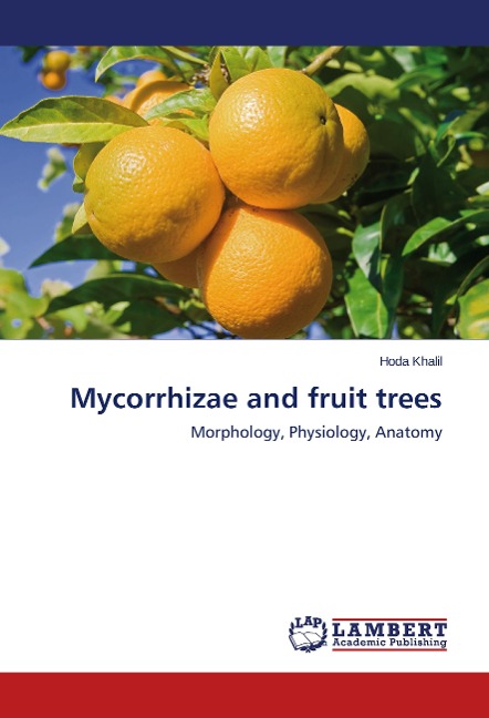 Mycorrhizae and fruit trees: Morphology, Physiology, Anatomy