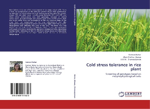 Cold stress tolerance in rice plant: Screening of genotypes based on morphophysiological traits
