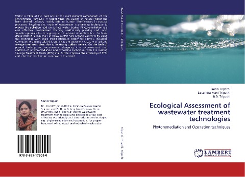 Ecological Assessment of wastewater treatment technologies: Phytoremediation and Ozonation techniques