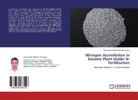 Nitrogen Assimilation in Sesame Plant Under N-Fertilization: Nitrogen Relation To Yield Potential