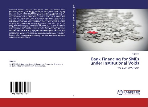 Bank Financing for SMEs under Institutional Voids: The Case of Vietnam