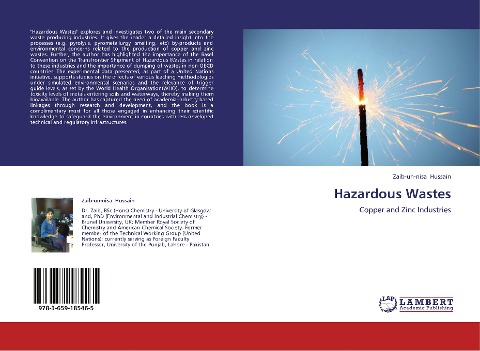 Hazardous Wastes: Copper and Zinc Industries