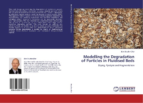 Modelling the Degradation of Particles in Fluidised Beds: Drying, Pyrolysis and Fragmentation