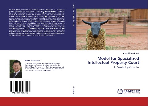Model for Specialized Intellectual Property Court: in Developing Countries