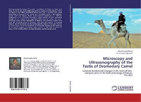 Microscopy and Ultrasonography of the Testis of Dromedary Camel: Seasonal Anatomical Changes in the testis of One-humped camel in the Natural Ecology of Punjab, Pakistan