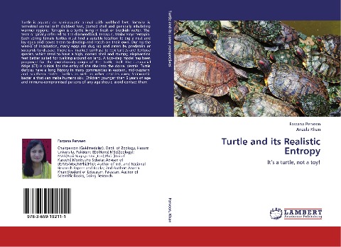 Turtle and its Realistic Entropy: Its a turtle, not a toy!