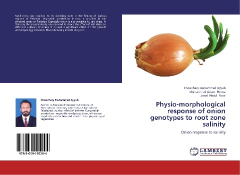 Physio-morphological response of onion genotypes to root zone salinity: Onion response to salinity
