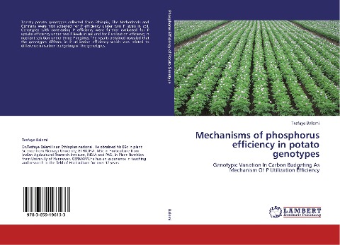 Mechanisms of phosphorus efficiency in potato genotypes: Genotypic Variation In Carbon Budgeting As Mechanism Of P Utilization Efficiency