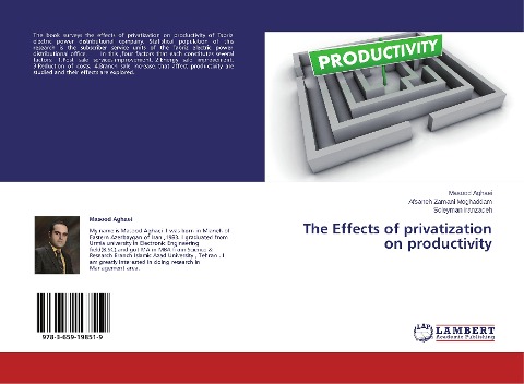 The Effects of privatization on productivity
