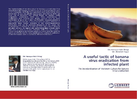 A useful tactic of banana virus eradication from infected plant: The Standardization of Meristem Culture for banana Virus Eradication
