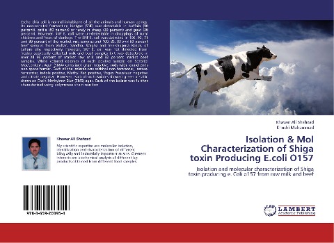 Isolation & Mol Characterization of Shiga toxin Producing E.coli O157: Isolation and molecular characterization of Shiga toxin producing e. Coli o157 from raw milk and beef