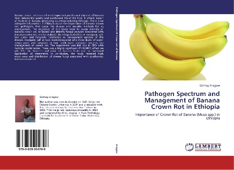 Pathogen Spectrum and Management of Banana Crown Rot in Ethiopia: Importance of Crown Rot of Banana (Musa spp.) in Ethiopia