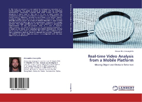 Real-time Video Analysis from a Mobile Platform: Moving Object and Obstacle Detection