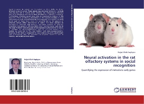 Neural activation in the rat olfactory systems in social recognition: Quantifying the expression of immediate early genes