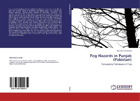 Fog Hazards in Punjab (Pakistan): Forecasting Techniques of Fog