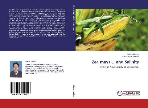 Zea mays L. and Salinity: Effect of NaCl Salinity on Zea mays L.