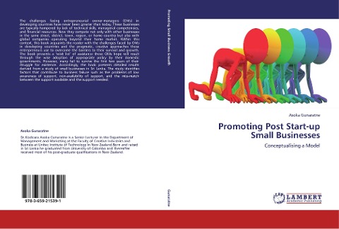 Promoting Post Start-up Small Businesses: Conceptualising a Model