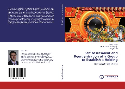 Self Assessment and Reorganization of a Group to Establish a Holding: Reorganization  of a Group