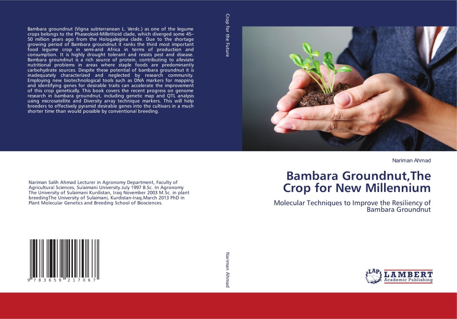 Bambara Groundnut,The Crop for New Millennium: Molecular Techniques to Improve the Resiliency of Bambara Groundnut