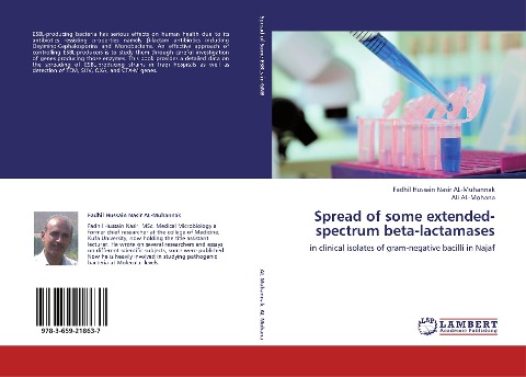 Spread of some extended-spectrum beta-lactamases: in clinical isolates of gram-negative bacilli in Najaf