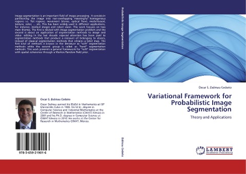 Variational Framework for Probabilistic Image Segmentation: Theory and Applications