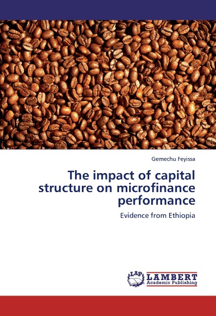The impact of capital structure on microfinance performance: Evidence from Ethiopia