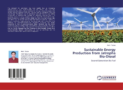 Sustainable Energy Production from Jatropha Bio-Diesel: Second Generation Bio Fuel