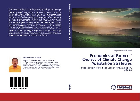 Economics of Farmers' Choices of Climate Change Adaptation Strategies: Evidence from North Shoa Zone of Amhara Region, Ethiopia