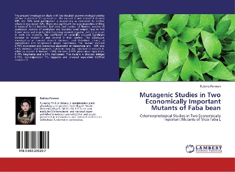 Mutagenic Studies in Two Economically Important Mutants of Faba bean: Cytomorphological Studies in Two Economically Important Mutants of Vicia Faba L