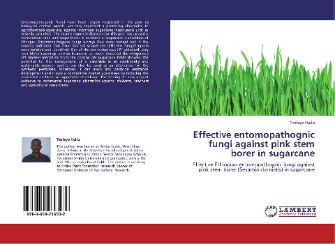 Effective entomopathognic fungi against pink stem borer in sugarcane: Effective Ethiopian entomopathognic fungi against pink stem borer (Sesamia clamistis) in sugarcane