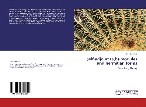Self-adjoint (a,b)-modules and hermitian forms: Singularity Theory