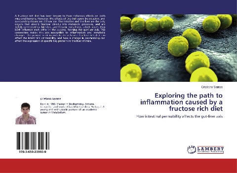 Exploring the path to inflammation caused by a fructose rich diet: How intestinal permability affects the gut-liver axis