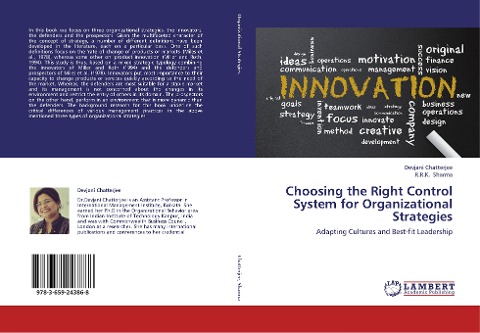 Choosing the Right Control System for Organizational Strategies: Adapting Cultures and Best-fit Leadership