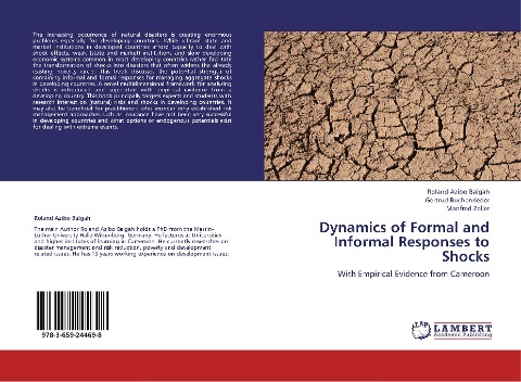 Dynamics of Formal and Informal Responses to Shocks: With Empirical Evidence from Cameroon
