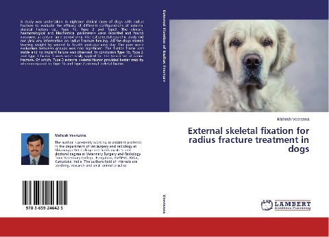 External skeletal fixation for radius fracture treatment in dogs