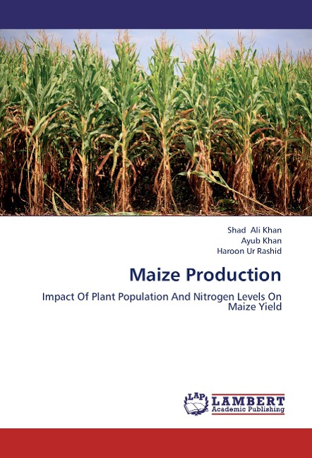 Maize Production: Impact Of Plant Population And Nitrogen Levels On Maize Yield